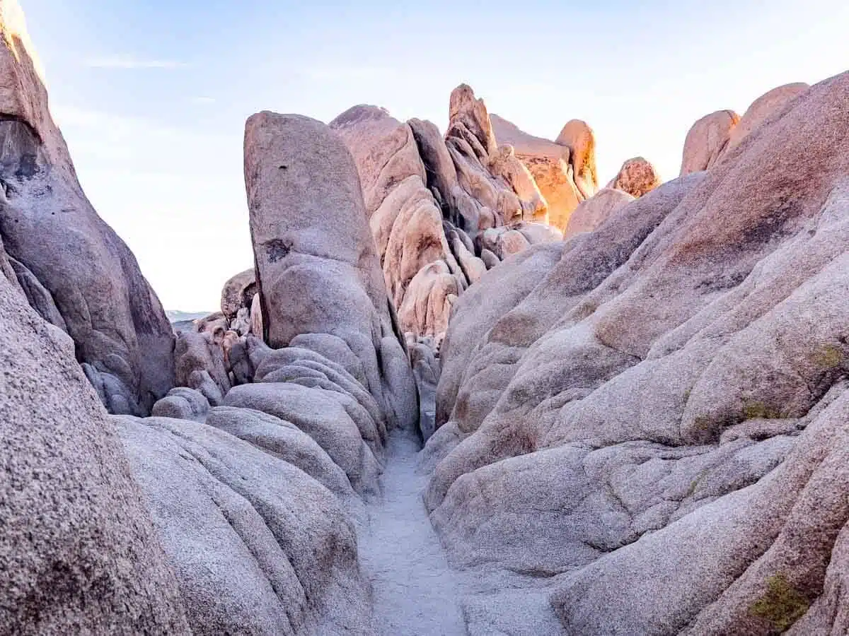 Arch Rock Hike Joshua Tree National Park