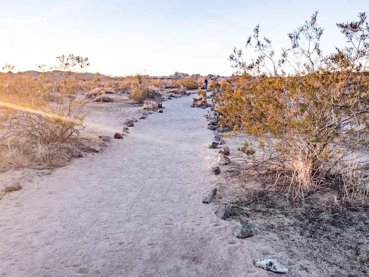 Arch Rock Hike Joshua Tree National Park