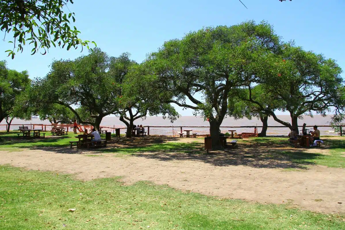 COSTANERA SUR ECOLOGICAL RESERVE, BUENOS AIRES, ARGENTINA