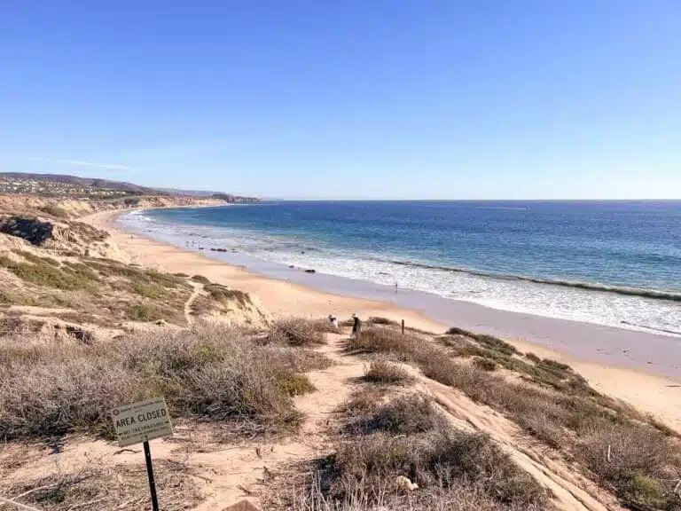 Stunning Hikes in Laguna Beach: Trails to Help You Discover Orange County