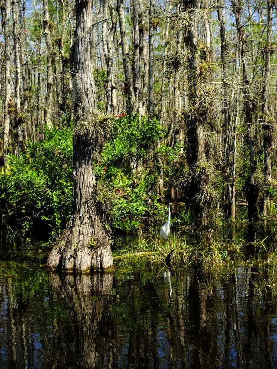 Everglades National Park