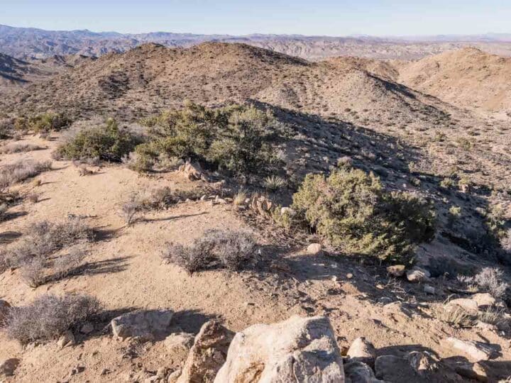 Stargazing in Joshua Tree: A Complete Guide