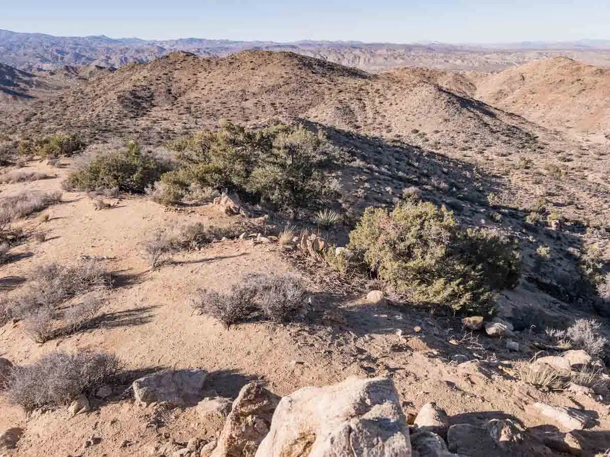 High View Trail Joshua Tree National Park