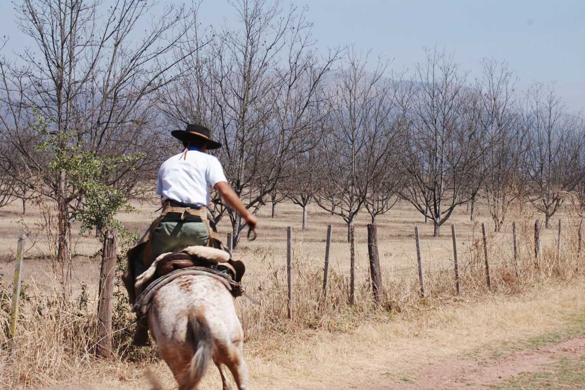Horse riding with a gaucho in Salta argentina