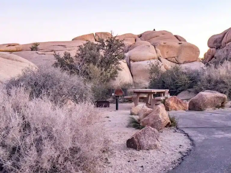 Hidden Valley, Joshua Tree National Park: Trail Guide