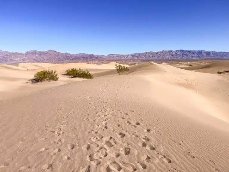 Mesquite Flat Sand Dunes: Exploring Death Valley’s Epic Dunes
