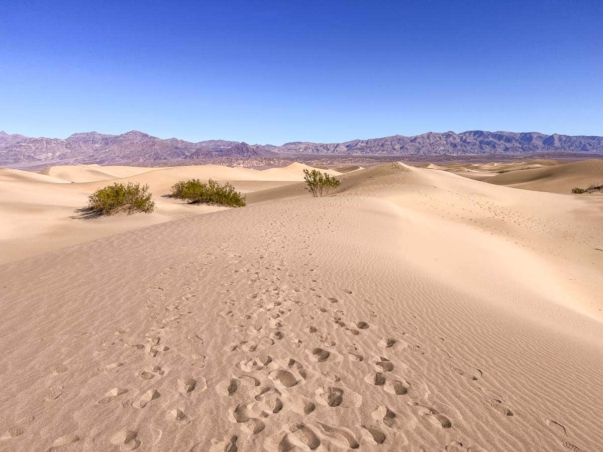Mesquite Sand Dunes Death Valley National Park