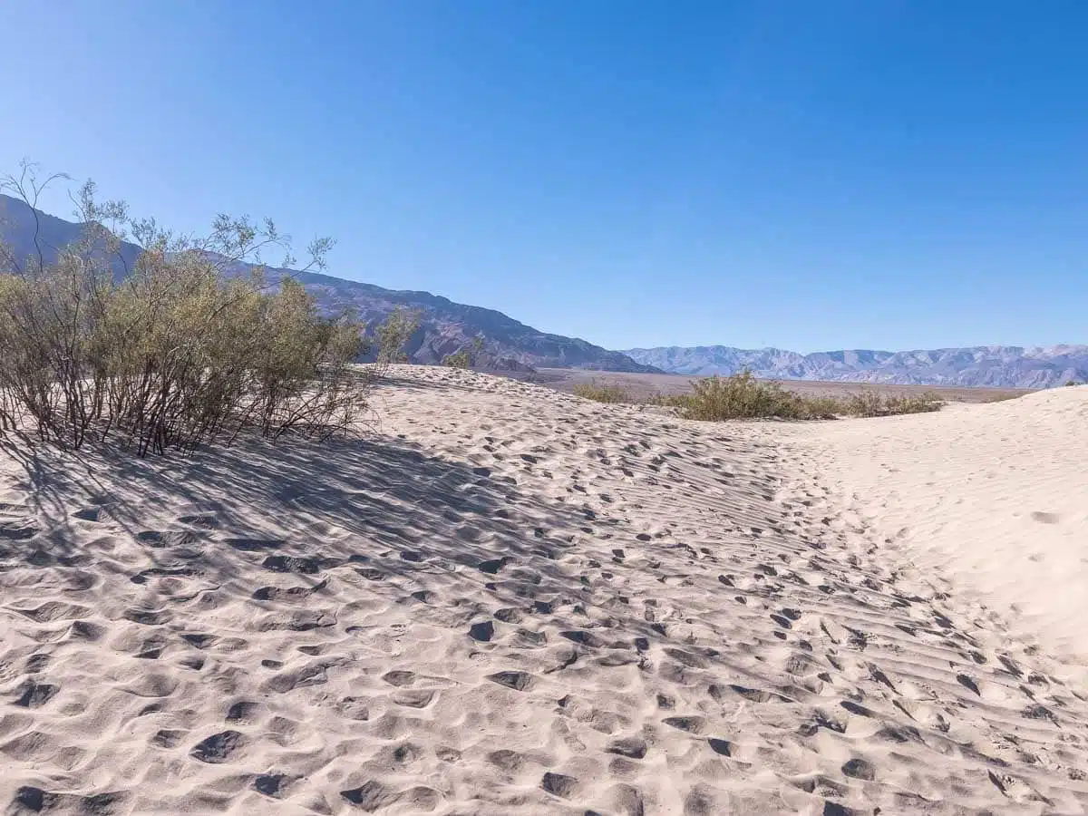 Mesquite Sand Dunes Death Valley National Park