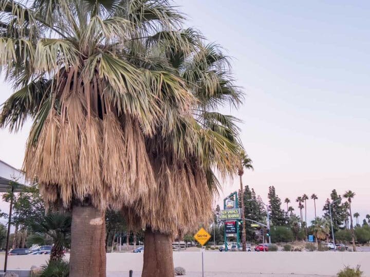 2 Days in Palm Springs: The Perfect Palm Springs Itinerary