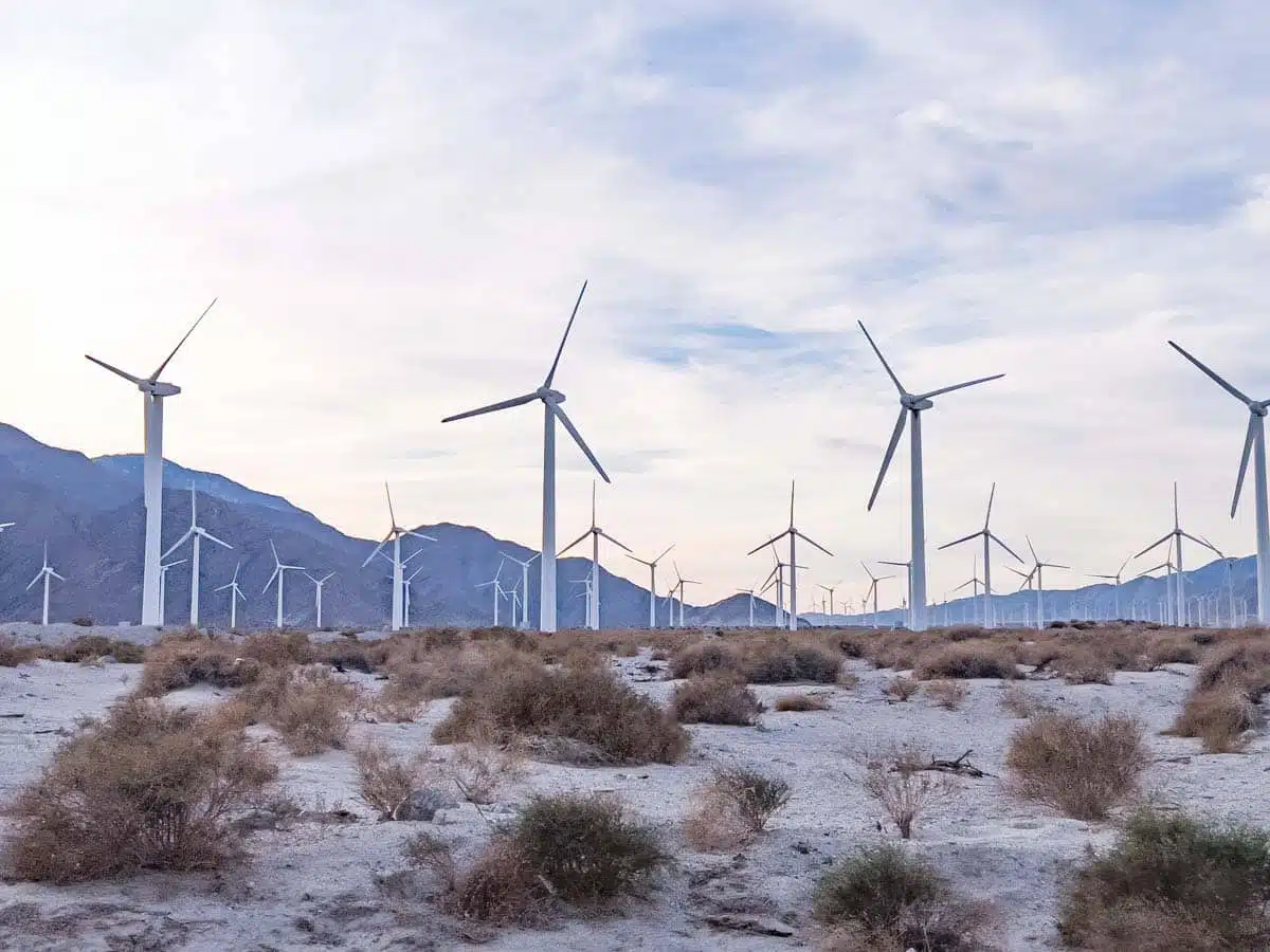 Palm Springs Windmills