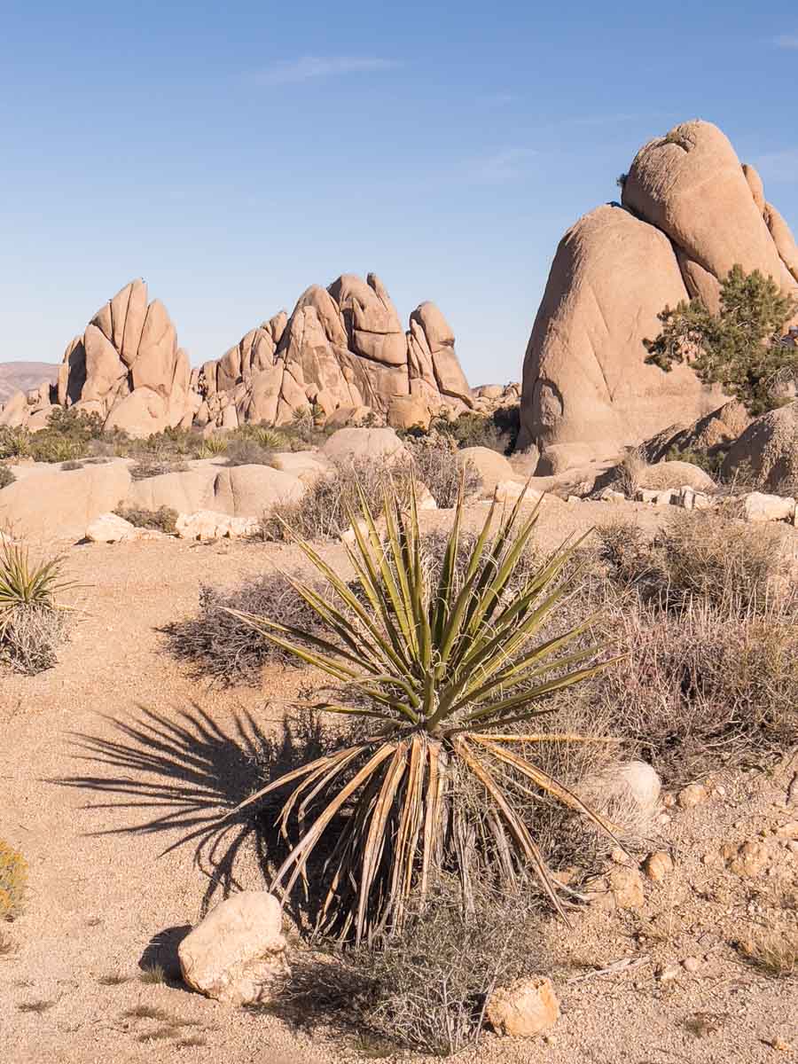 Skull Rock Hike Joshua Tree