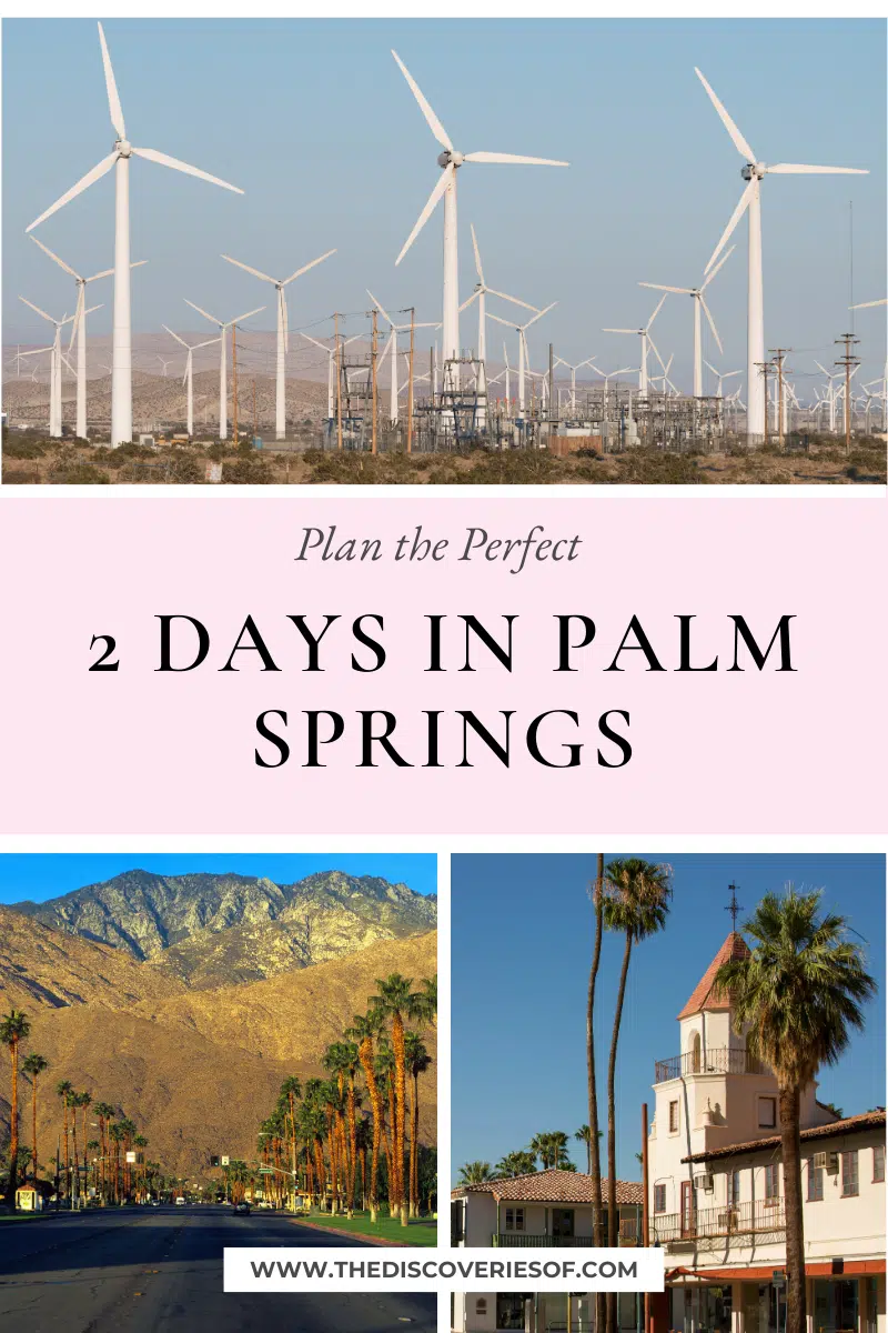 2 Days in Palm Springs
