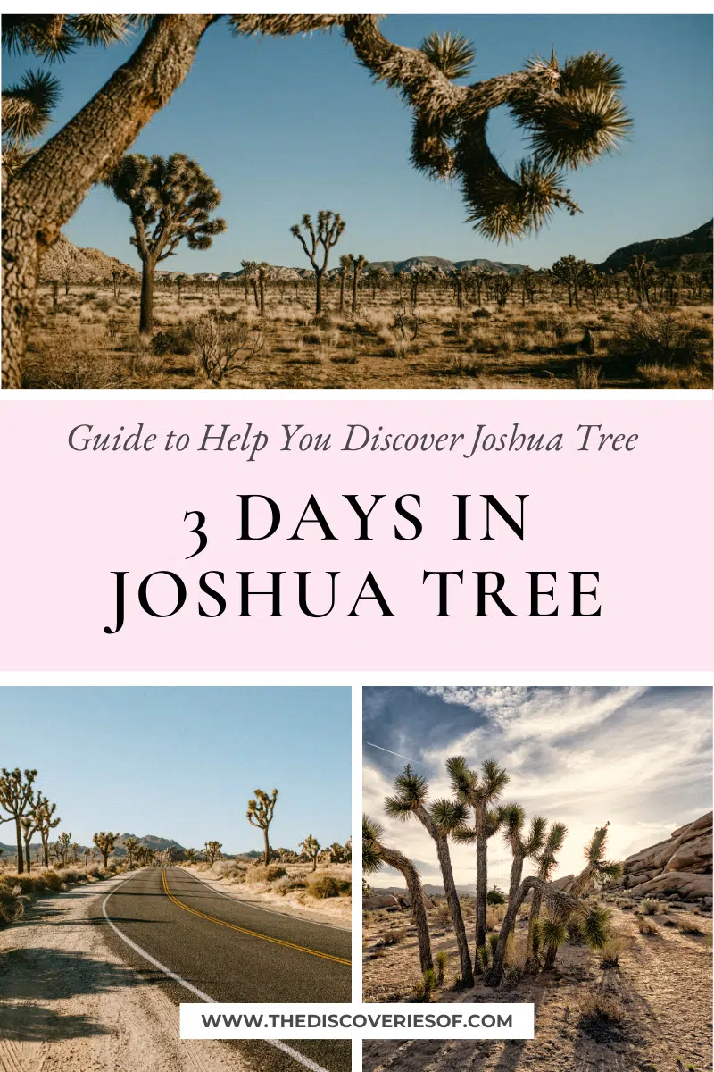 3 Day Joshua Tree