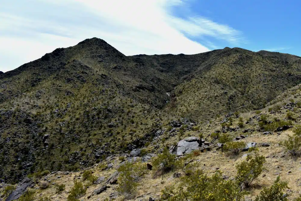 Araby Trail, Palm Springs, CA