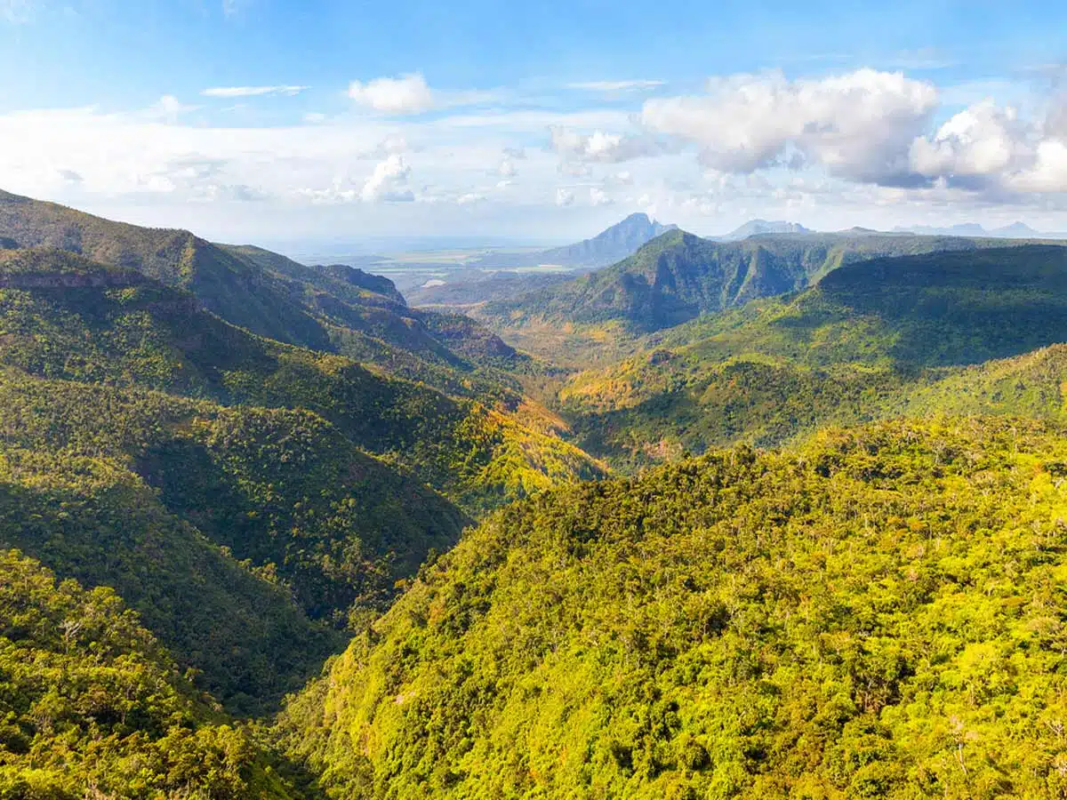 Black River Gorges National Park on Mauritius