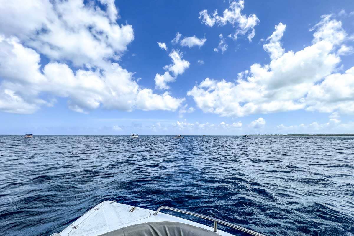 Boat Trip Trou Aux Biches Mauritius-