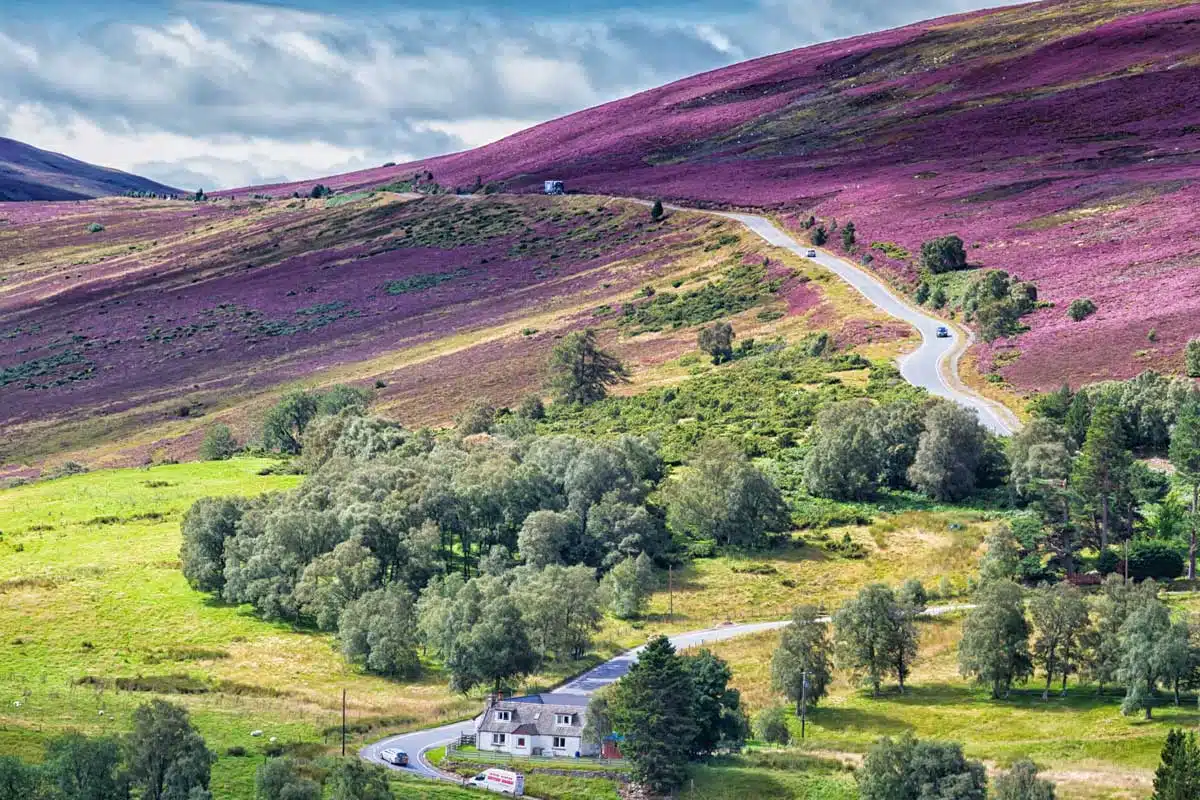 Cairngorms national park, Scotland