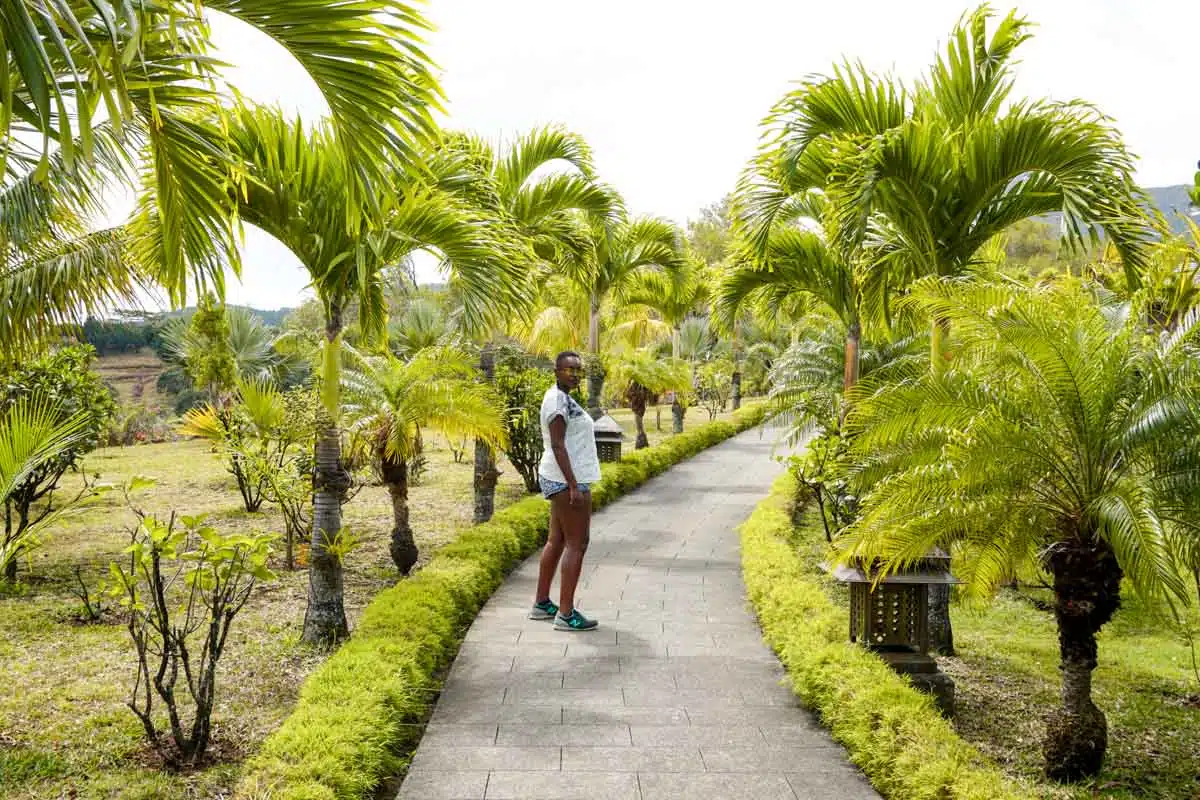 Chamarel Rum Distillery Mauritius