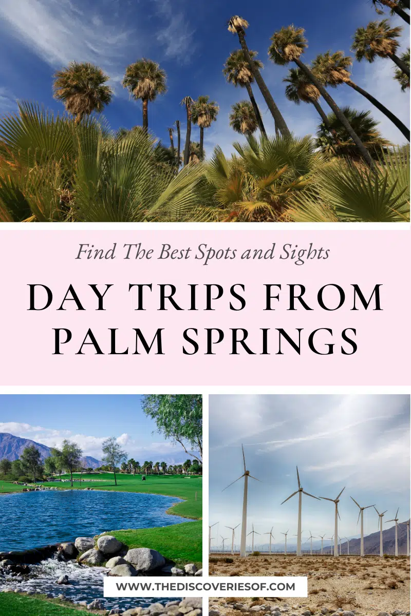 Day Trips from Palm Springs