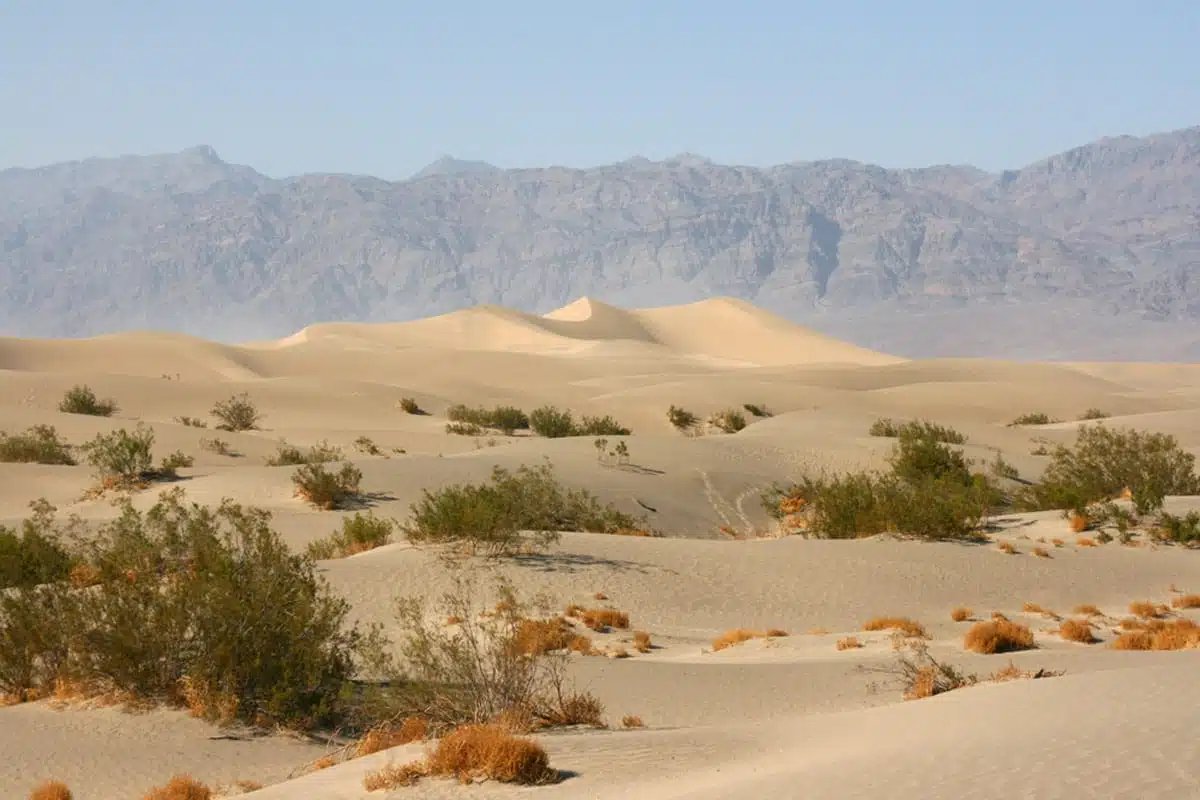 FURNACE CREEK, DEATH VALLEY NATIONAL PARK