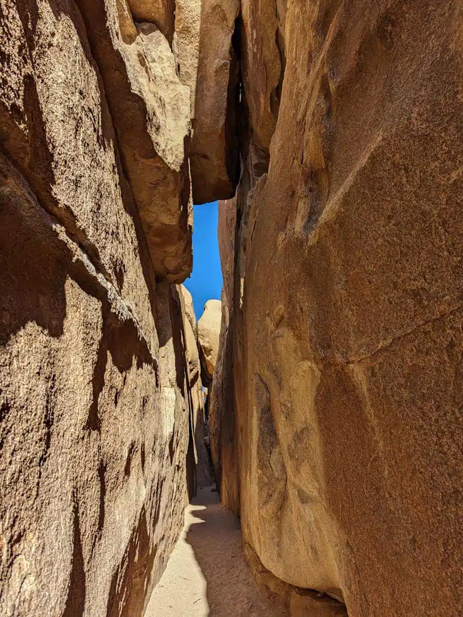 Hall of Horrors Joshua Tree