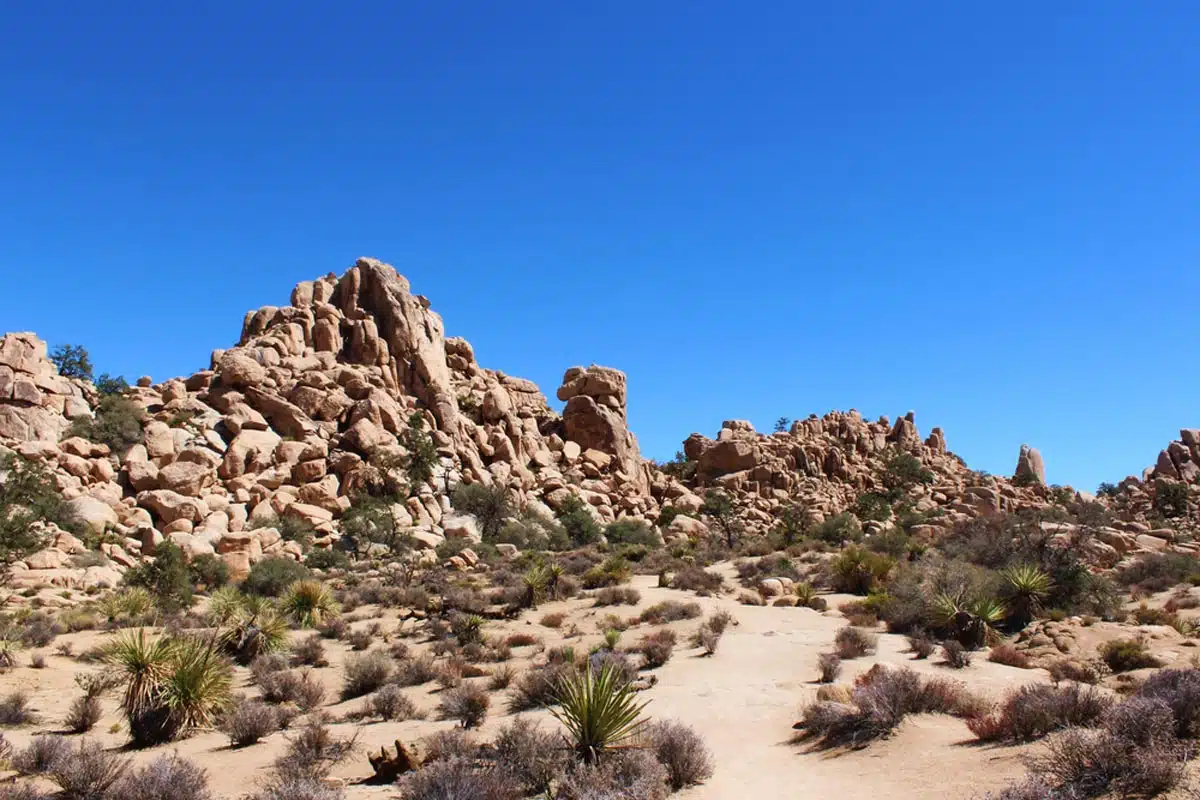 Hidden Valley Picnic Area Trail in Joshua Tree National Park