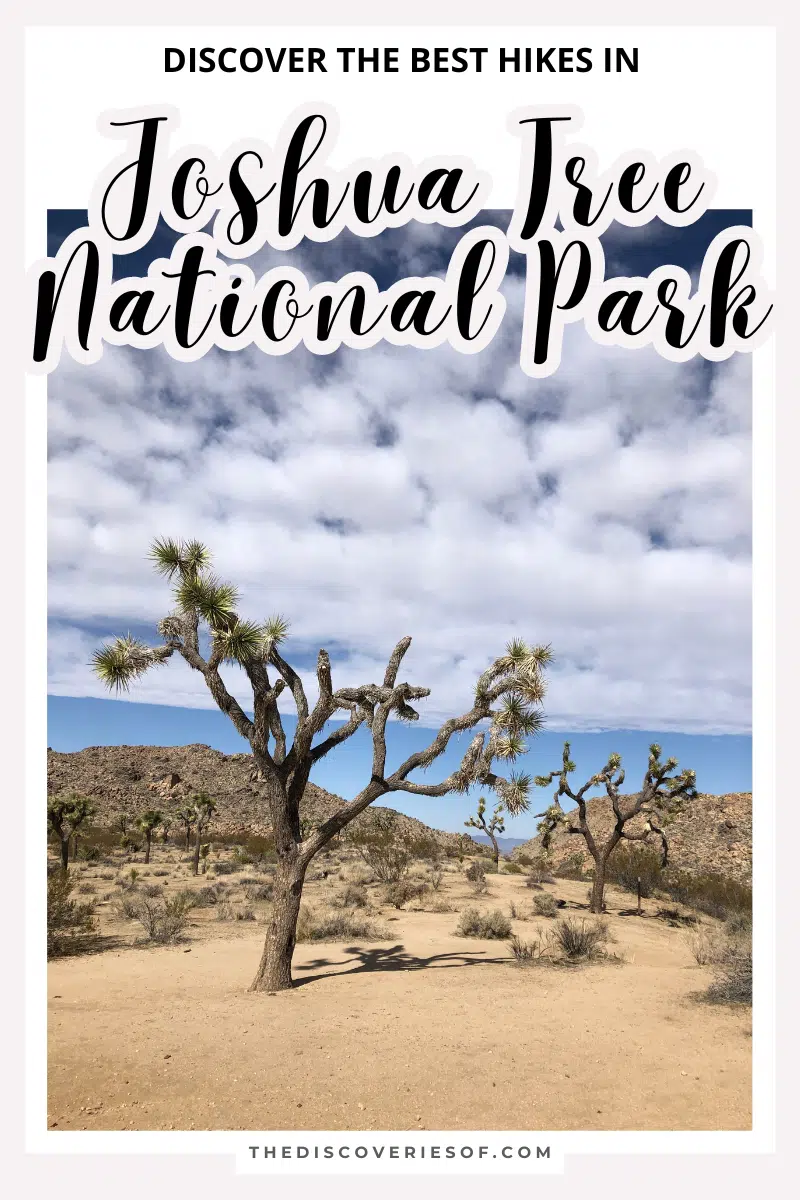 Hikes in Joshua Tree