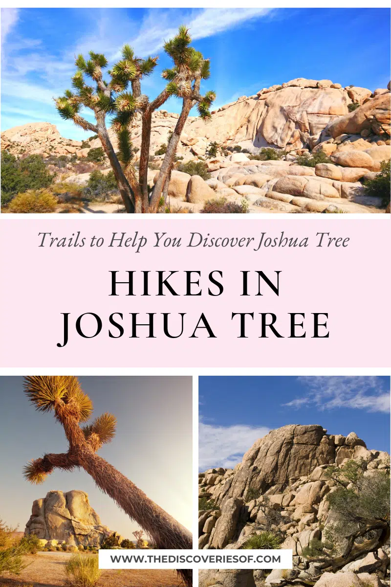 Hikes in Joshua Tree