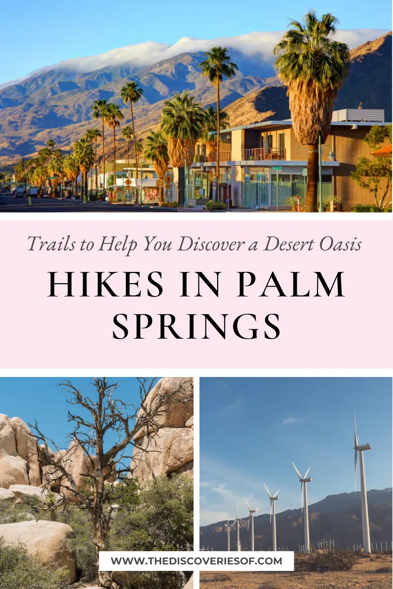 Hikes in Palm Springs
