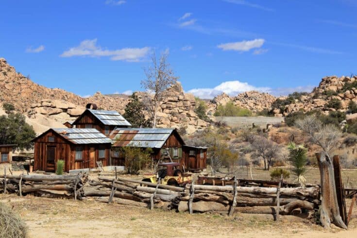 13 Best Things to do in Joshua Tree National Park — The Discoveries Of