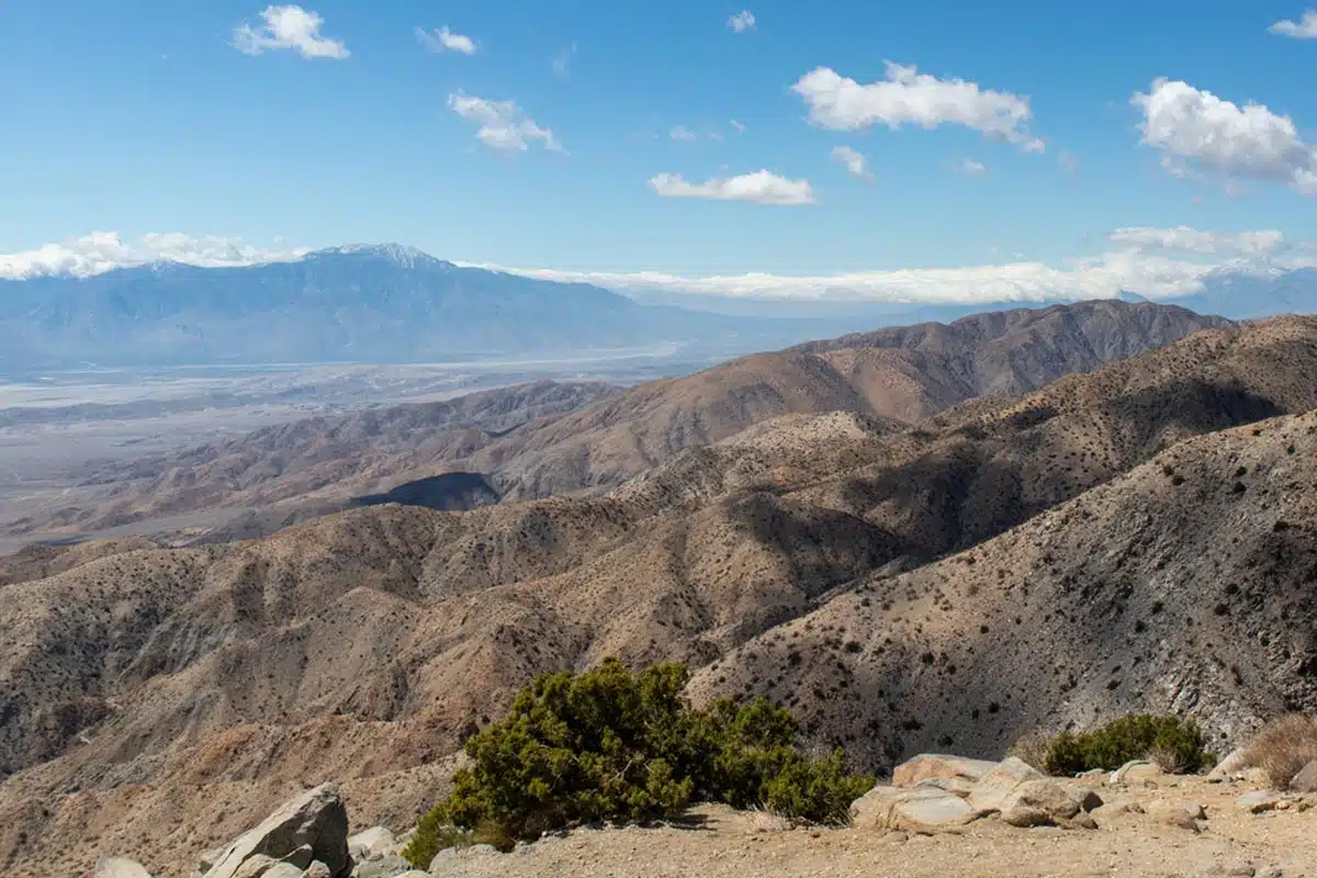 Keys View Joshua Tree