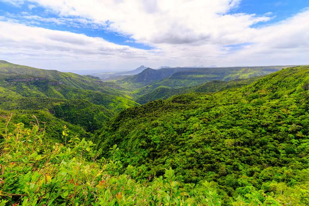 La Vallée De Ferney (Ferney Blue Trail) Mauritius 