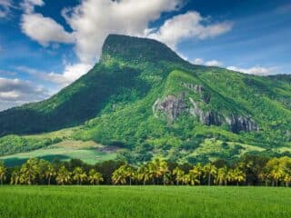 Lion’s Mountain Mauritius
