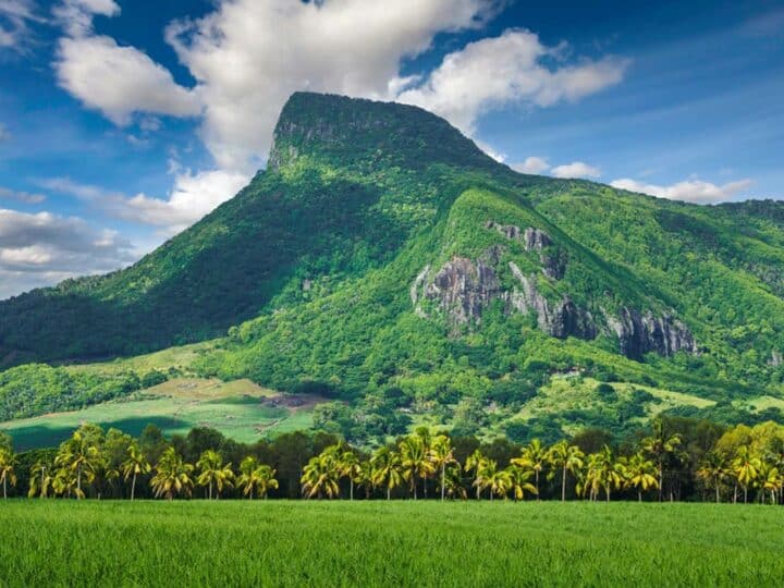 Stunning Hikes in Mauritius: 9 Trails for the Ultimate Vacation