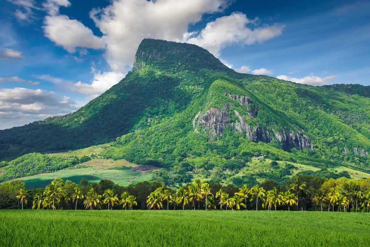 Lion’s Mountain Mauritius