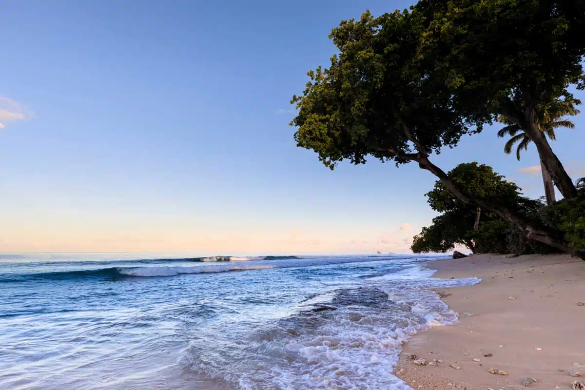Paynes Bay