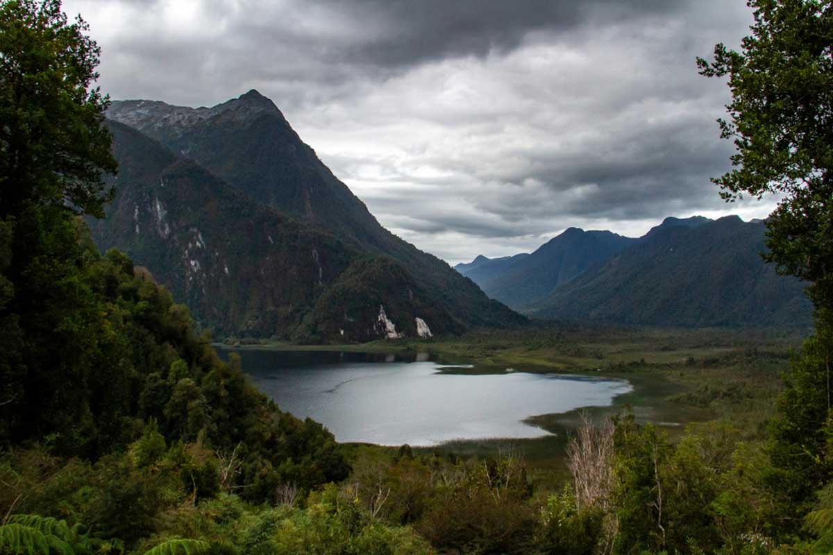 Pumalin national park, Patagonia, Chile