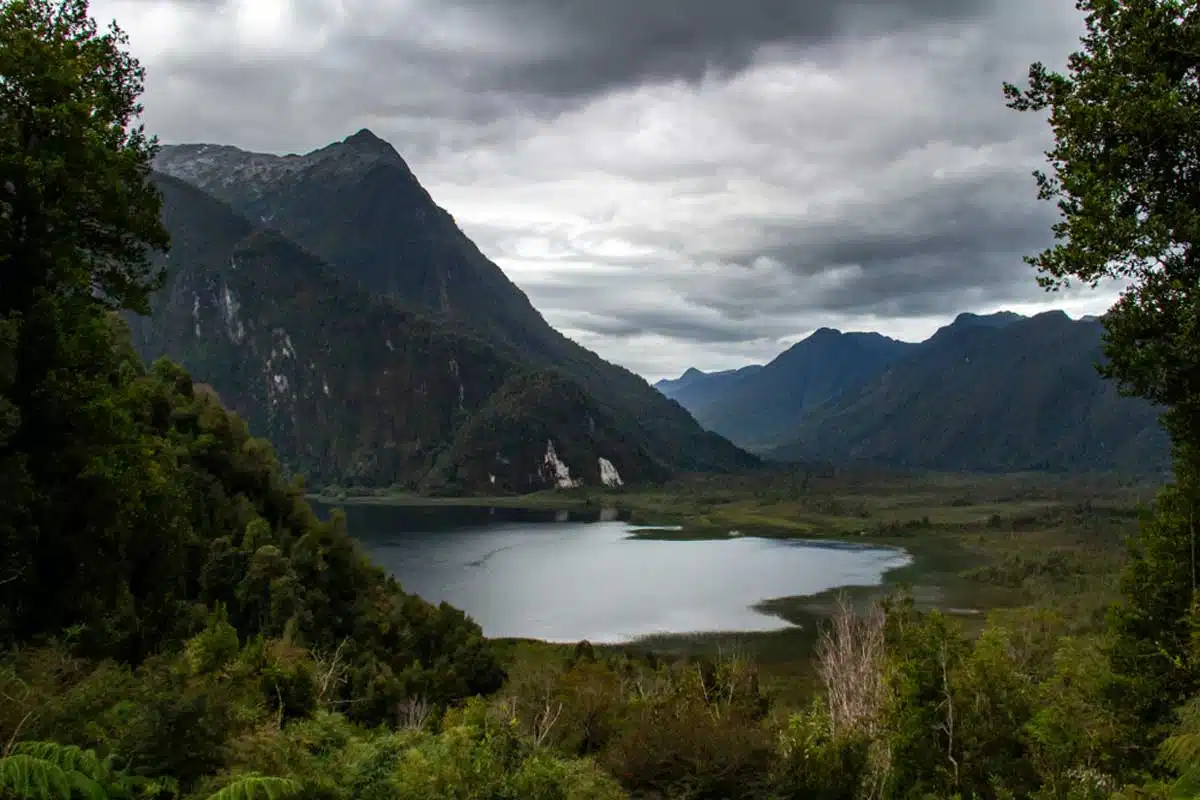 Pumalin national park, Patagonia, Chile