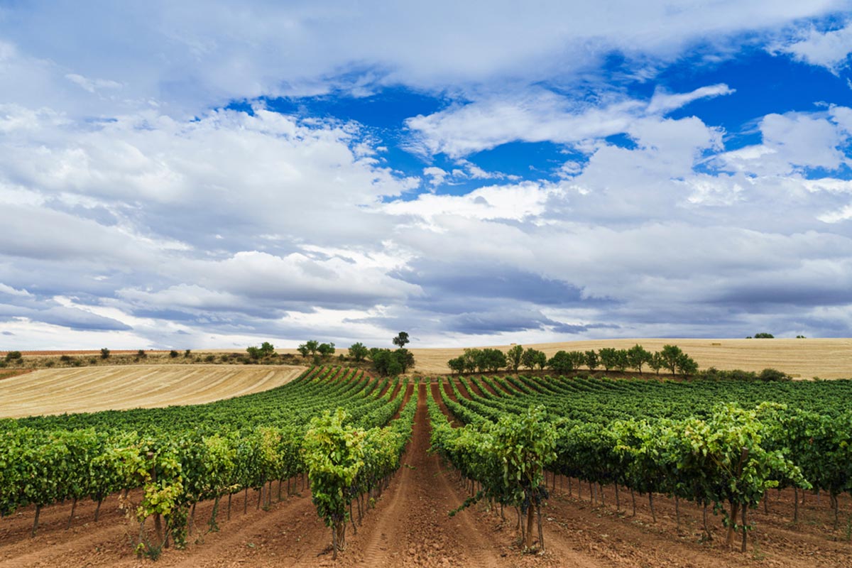 Ribera del Duero, Spain