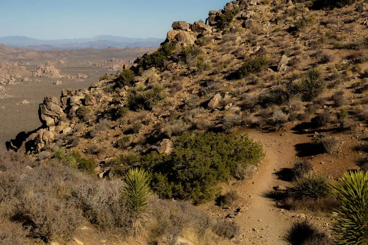 Ryan Mountain Trail