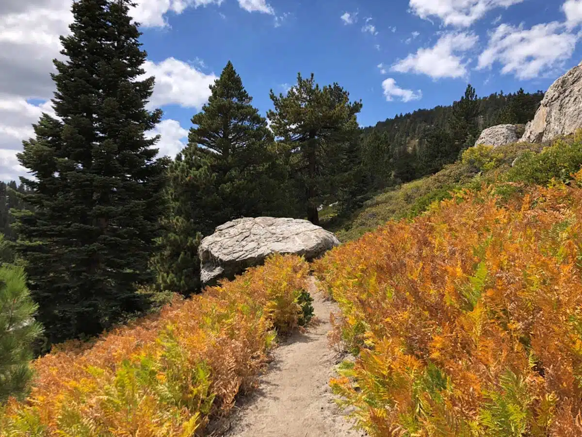 San Jacinto Mountains, California