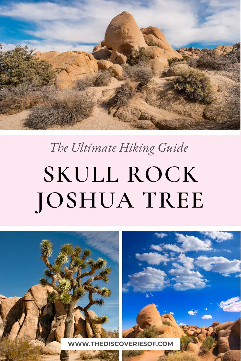 Skull Rock Joshua Tree