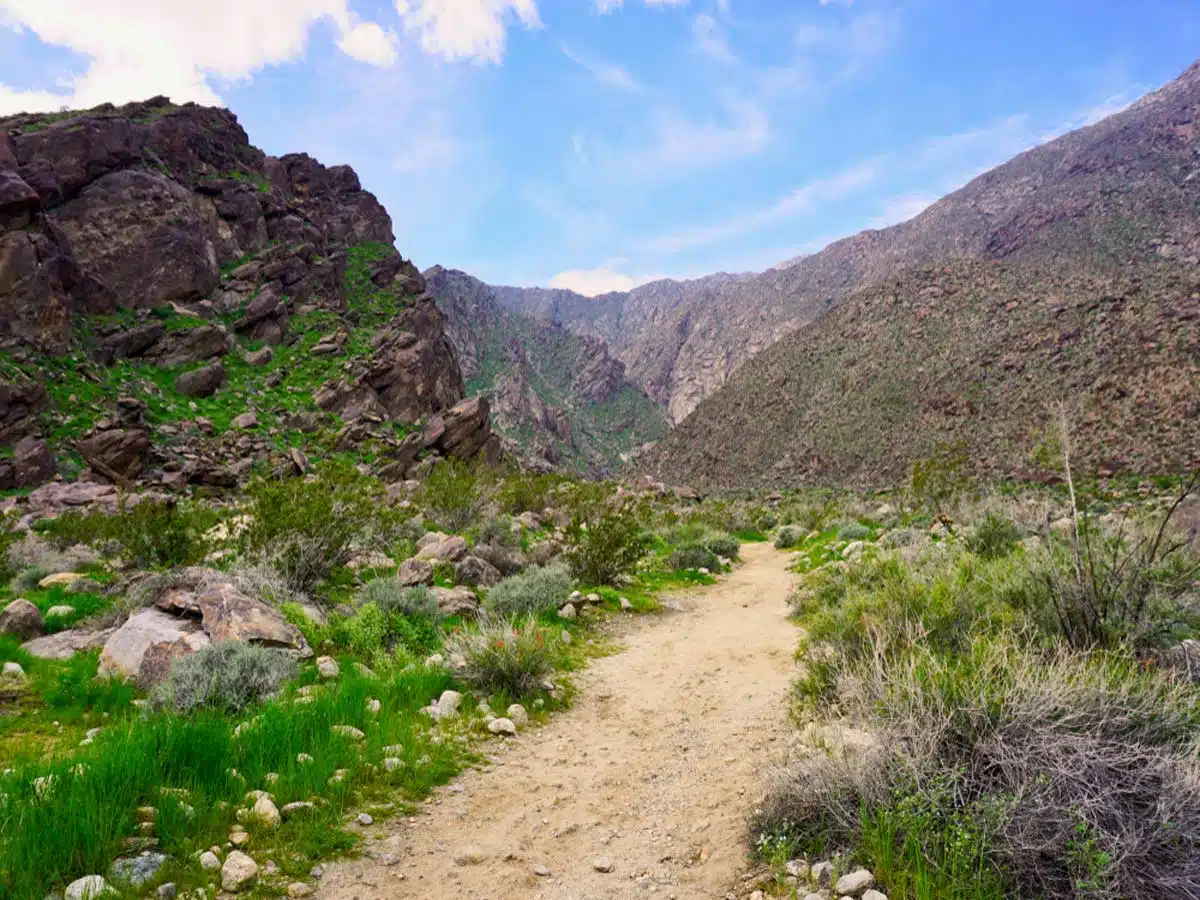 Tahquitz Canyon Trail