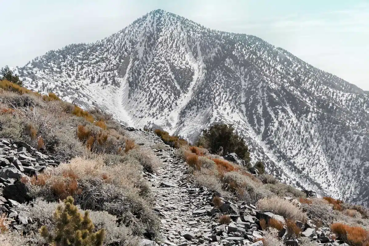 Telescope Peak 