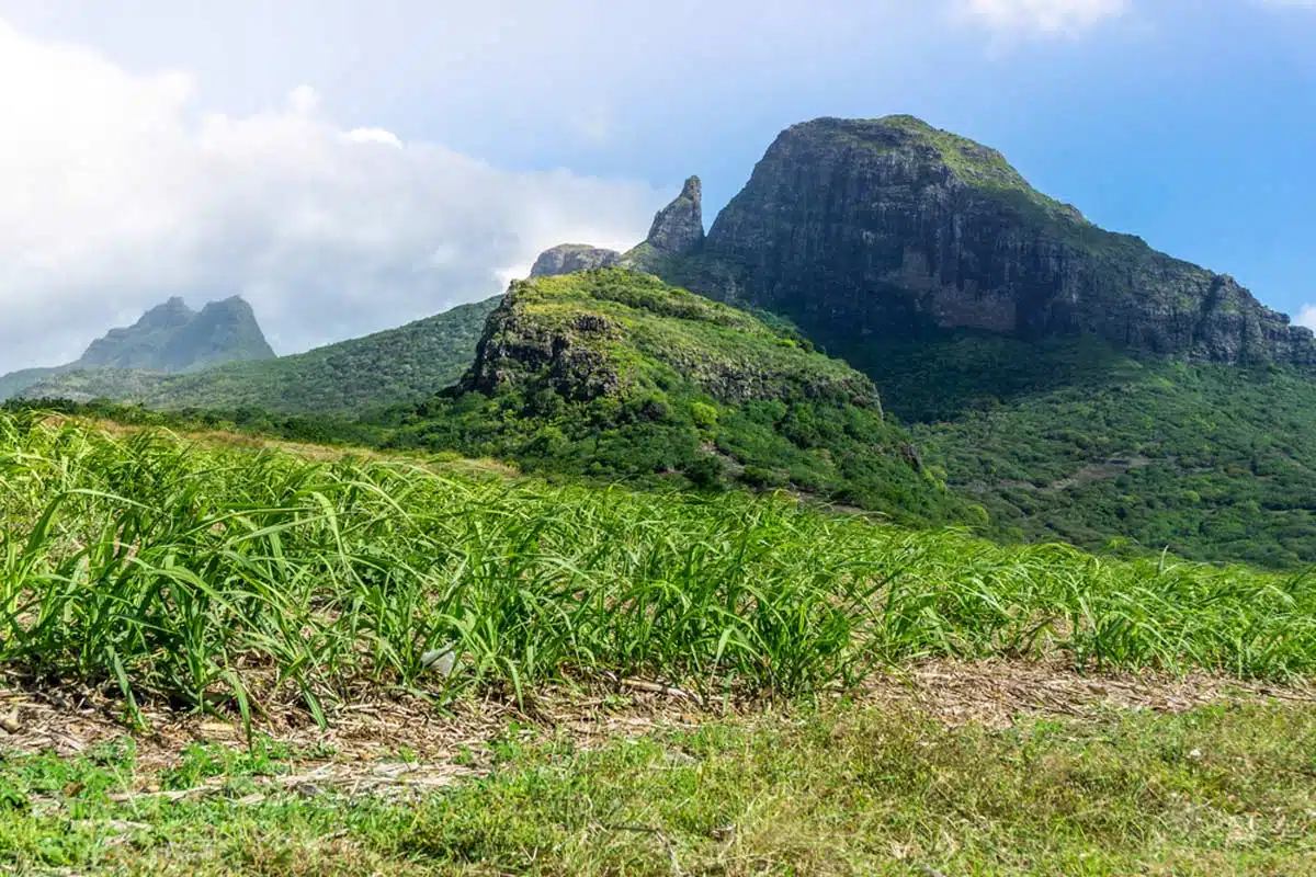 The Trois Mamelles Mauritius