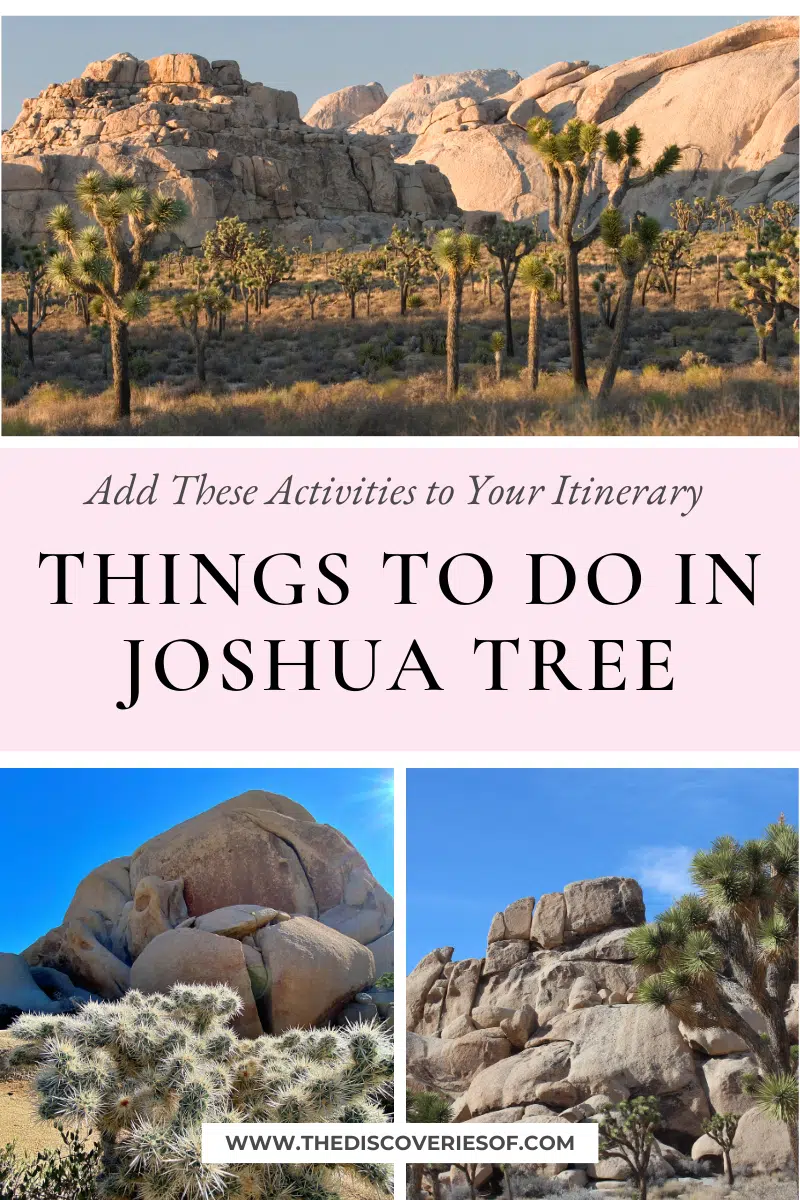 Things to do in Joshua Tree