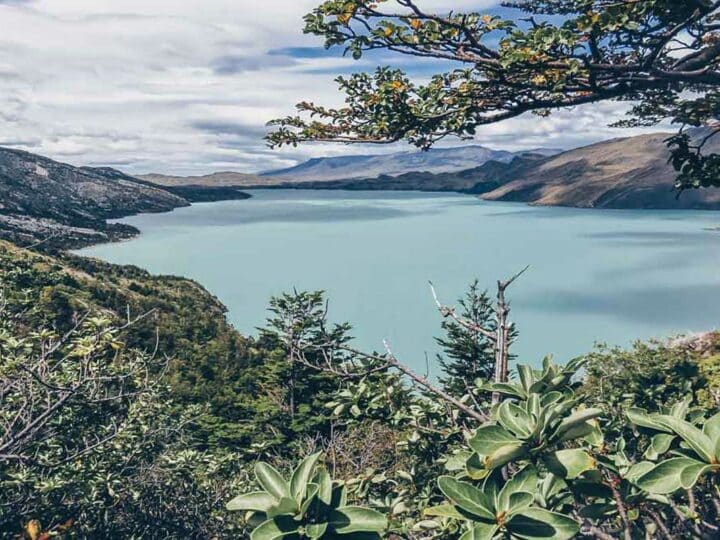 8 Brilliant National Parks in Patagonia: Must-Visit Parks in South America