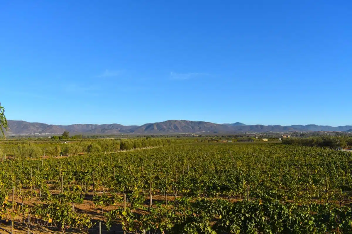 Valle de Guadalupe, Mexico