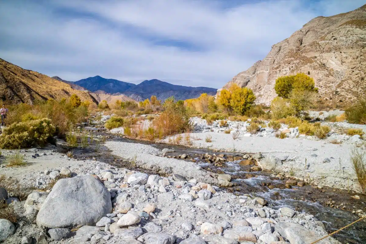 Whitewater Preserve Wildlands Conservancy