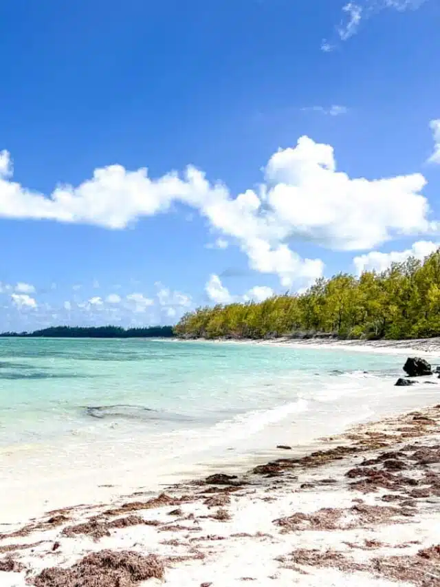cropped-ile-aux-cerfs-Mauritius.jpg